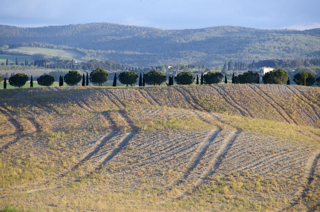 Agriturismo Poggio Bonelli Кастельнуово-Берарденга Экстерьер фото
