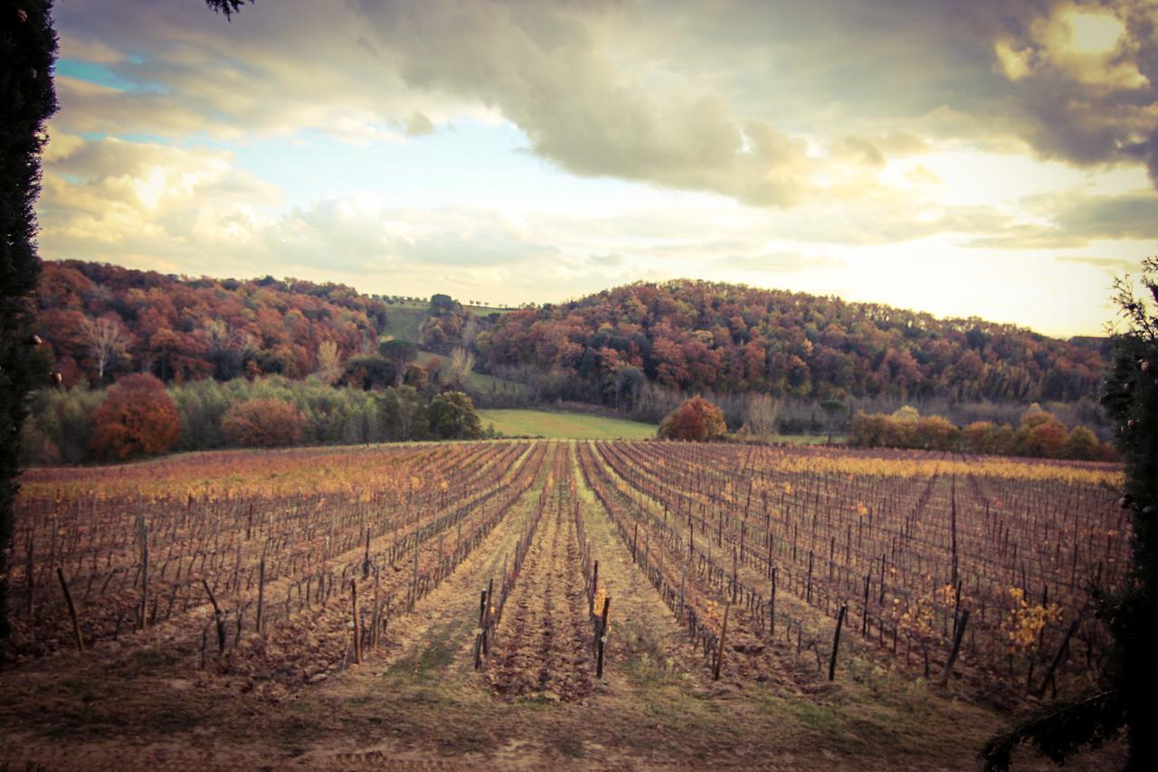Agriturismo Poggio Bonelli Кастельнуово-Берарденга Экстерьер фото